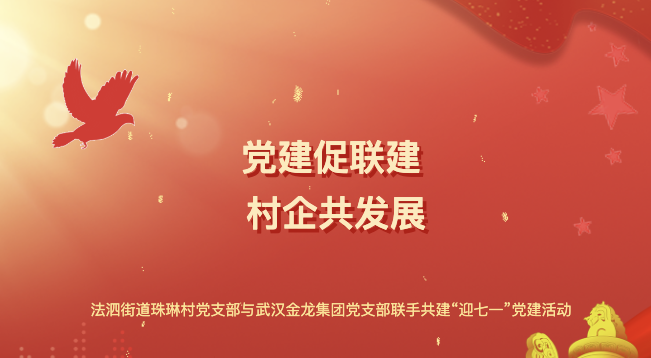 “黨建促聯(lián)建 村企共發(fā)展”——法泗街道珠琳村黨支部與武漢金龍集團(tuán)黨支部聯(lián)手共建“迎七一”黨建活動(dòng)